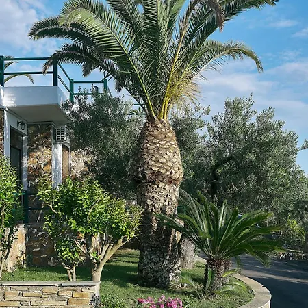 Glavas 3* ゲラキニ